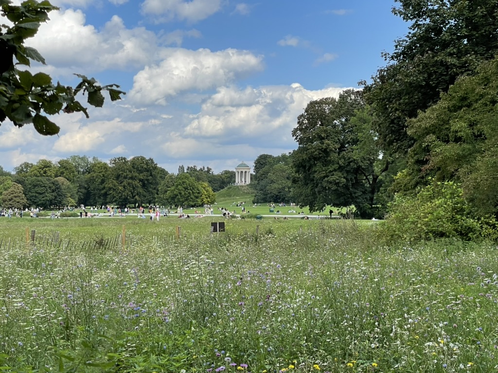 picture of the Englischer Garten in Munich, with a cupola on a hill dotted with people in the background, and flowers in the foreground.